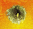 пьяный ветер. серия - другая реальность