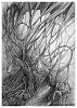 Forestry metamorphosis