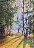 Сквозь лесной туман.  2010 г.