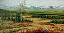053. на Полярном Урале