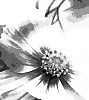 Engraving