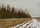 Первый снег. 2009г.