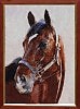 BARBARO