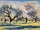 Apple garden
