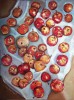 Осенние наливные яблочки (60х80 см)