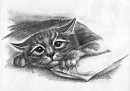 кот
