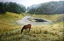 Горное озеро ( Хмелёвские озёра - Сочи )