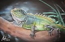 "Водяной дракон".