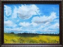 Кулундинская степь