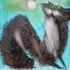 Лунный кот