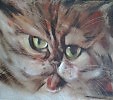 КОТ