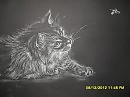 кошка