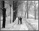 Падает снег (на мотив Helene – Amour secret).