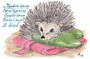 Колючая сказка