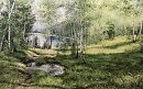 После летнего дождя