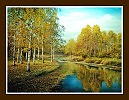 осень золотая