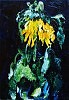 Sunflower.