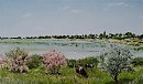 Ставрополье, Степное