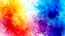 ◦●◉✿  ✿◉●◦