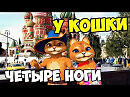 А У КОШКИ ЧЕТЫРЕ НОГИ