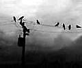 Ane Brun - Big in Japan (Anfermond remix)