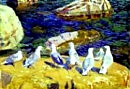 Есть птицы, мнится, небесами