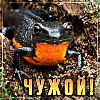 «Ч У Ж О Й» !